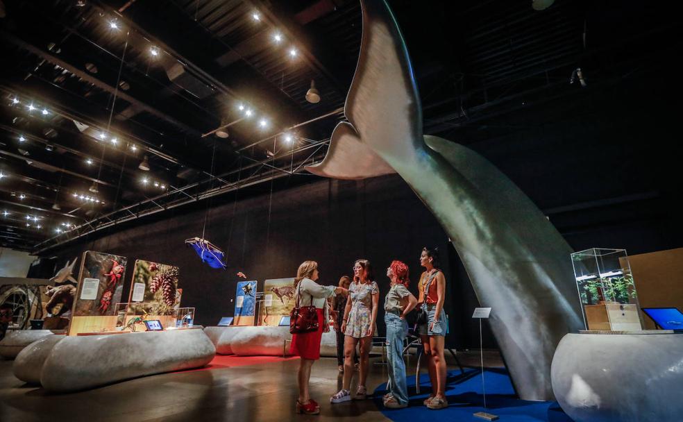 Del pico del martín pescador al tren de alta velocidad en el Parque de las Ciencias de Granada