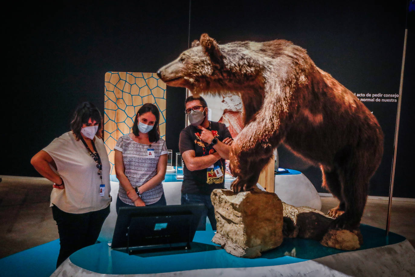 Las mejores imágenes de 'BioInspiración, innovar desde la naturaleza', la nueva exposición del Parque de las Ciencias