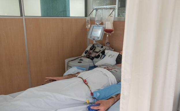 Granada persigue más donantes de médula y que acepten cuando reciban la llamada