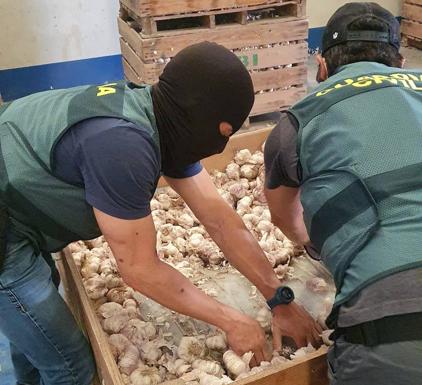 Desarticulan una nave de distribución de marihuana a Centroeuropa con 122 kilos de droga en Cijuela