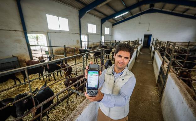 Granada cría sementales caprinos de élite y vende su genética a diez países