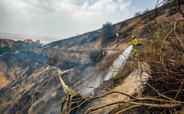 Bomberos e Infoca extinguen incendio en la zona de San Miguel de Granada