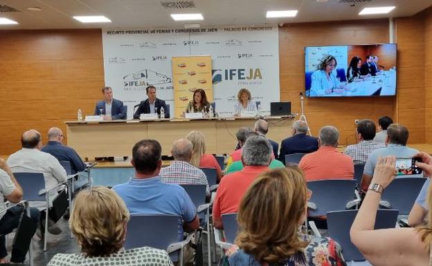 El cambio climático está aquí y amenaza con bajar el rendimiento del olivar un 16%