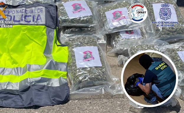 Quince detenidos en Granada de una red dedicada a la venta de marihuana y hachís por Europa