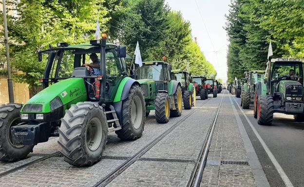 Cientos de tractoristas claman en la provincia de Jaén: «No podemos más»
