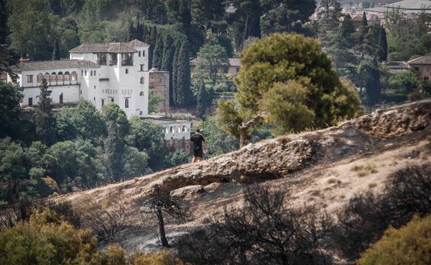 El Ayuntamiento quiere empezar a plantar en la zona quemada de San Miguel a principios de 2023