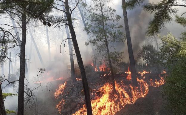 Lucha por tierra y aire para sofocar las llamas en Segura de la Sierra