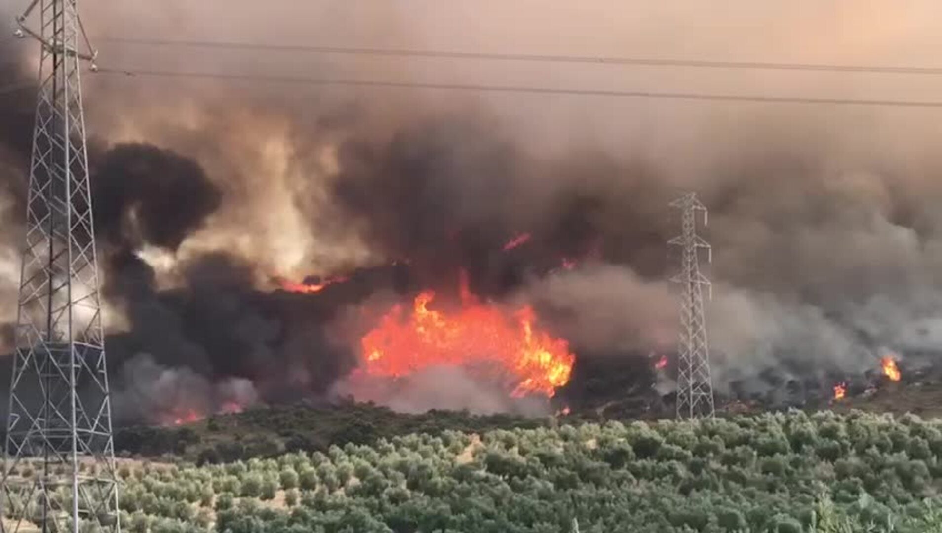 Controlado el incendio de Pinos Puente