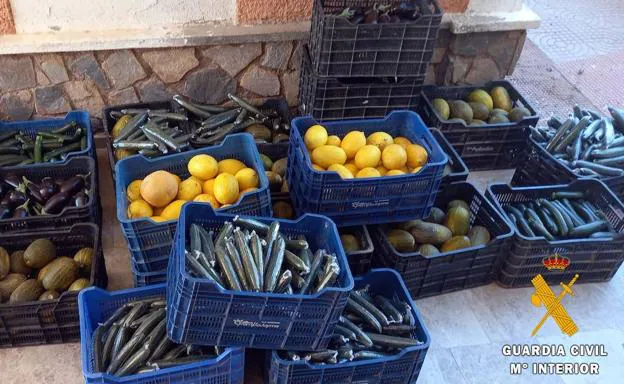 Investigan por robo a dos personas que transportaban más de 350 kilos de fruta y verdura por Almería