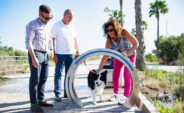 La Junta de Andalucía autoriza otra playa canina en Costacabana