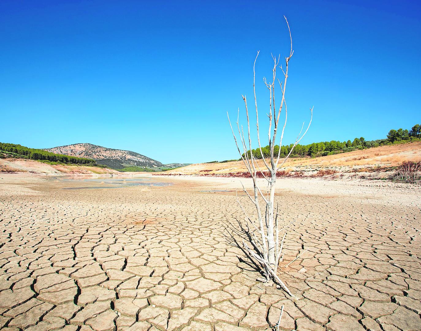 Los pantanos de la provincia están en el nivel más bajo de los últimos 12 años