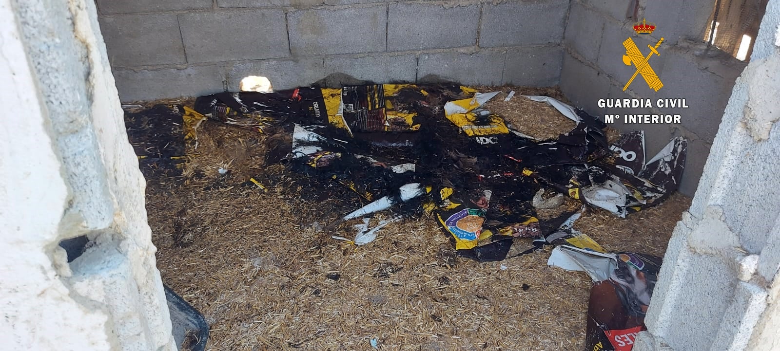 Investigan a un hombre acusado de la muerte de 25 perros en Huércal-Overa