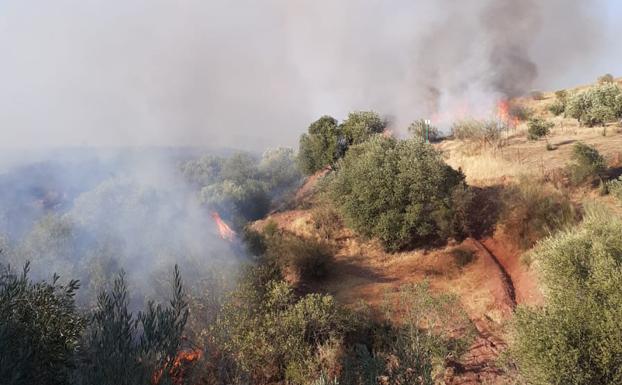 El Infoca actúa en Andújar, el tercer incendio declarado en Jaén este domingo