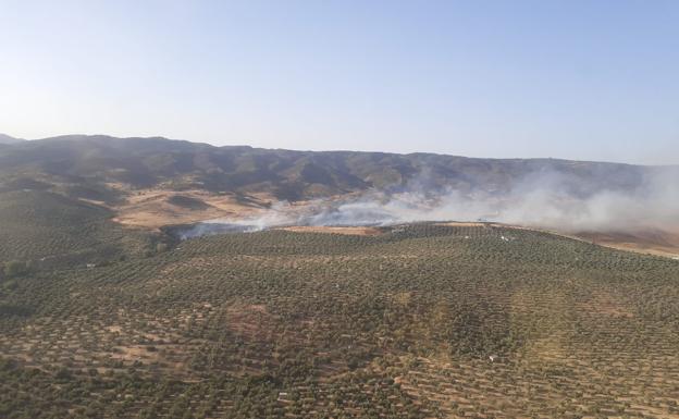 Extinguido el incendio de Andújar declarado la tarde del domingo