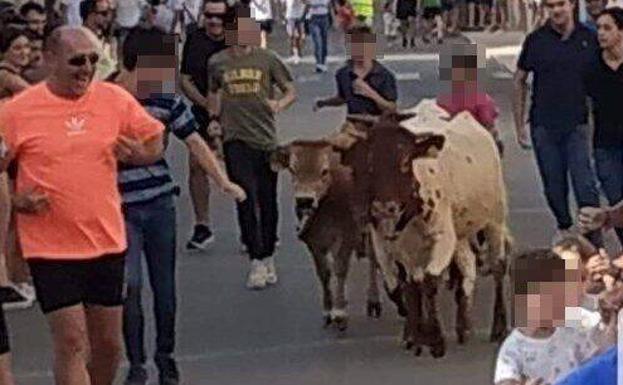 Un encierro infantil en Castellar podría ser objeto de denuncia de PACMA