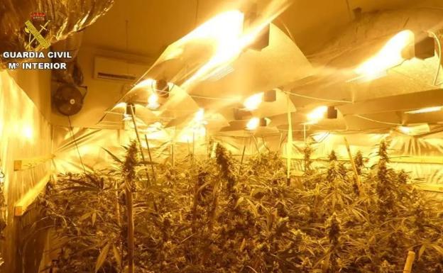 Descubren cinco centros de producción de marihuana en Ogíjares y Pulianas