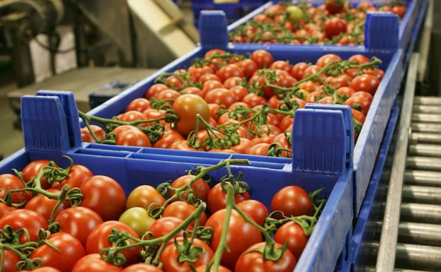 Almería bate récord de exportaciones al alcanzar los 3.302 millones de euros en el primer semestre