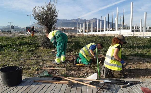 Jaén es la capital andaluza con menor tasa de paro, como señala el Ayuntamiento