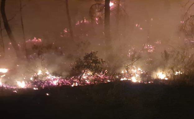 Hasta 102 bomberos luchan contra un incendio con cuatro focos en Benatae