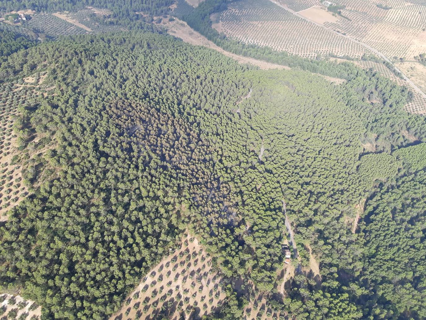 Estabilizado el incendio de Benatae