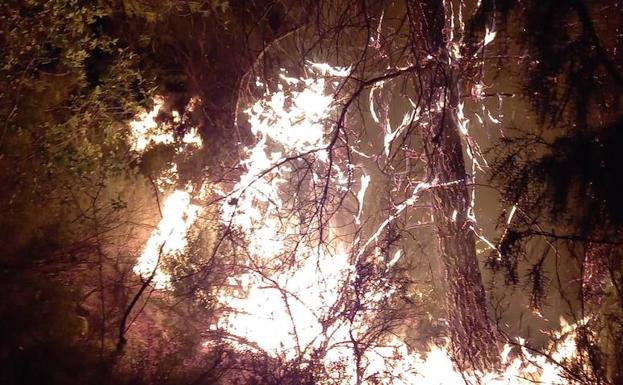 El Infoca logra apagar las llamas en los seis focos del incendio de la Sierra de Segura