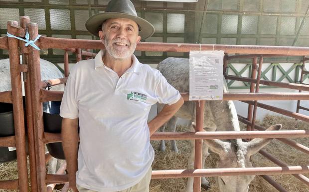 «Solo hay 605 ejemplares de asno andaluz, estamos mucho peor que el lince ibérico»