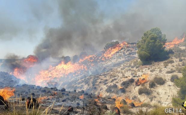 El Infoca da por extinguido el incendio en Cortes de Baza