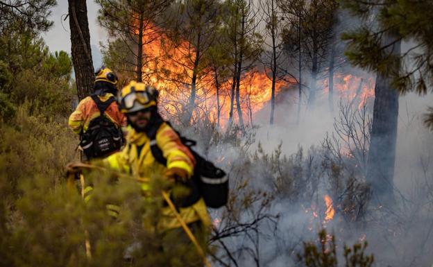 Estabilizado cuatro horas y media después el incendio de Albuñuelas