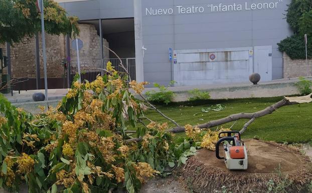 Retirada de ramas en la capital jienense tras una noche ventosa