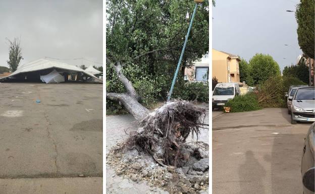 Caída de árboles y daños materiales en Santa Fe tras dos horas de fuertes ciclones de viento