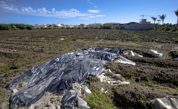 Una empresa de Níjar producirá fuel para calefacción con los residuos plásticos del campo