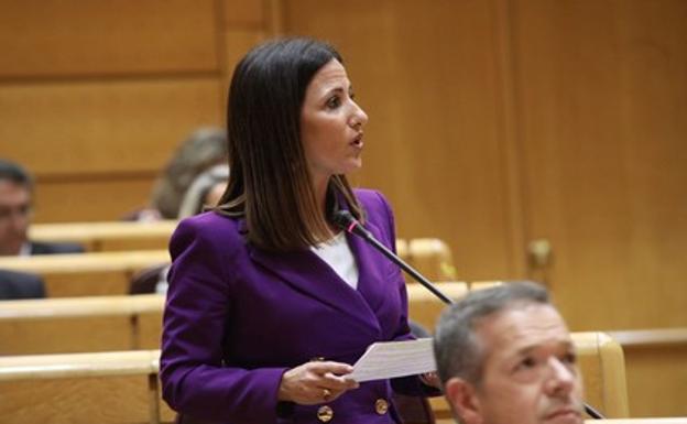 Inés Plaza reclama en el Senado más becas al estudio que se otorguen en función de la renta