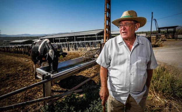 El sacrificio de 1.500 vacas hunde la producción de leche en Granada