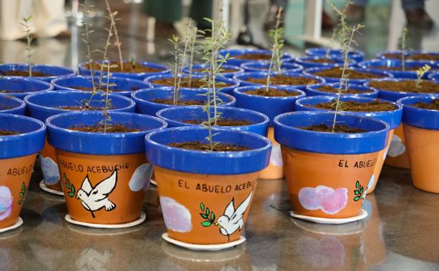 El proyecto Eracis, en 'stand by'