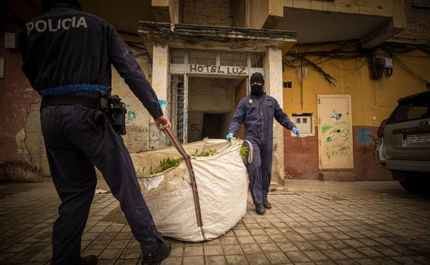 La fiscalía cifra en dieciséis los clanes que se reparten los cultivos de la marihuana en el distrito Norte