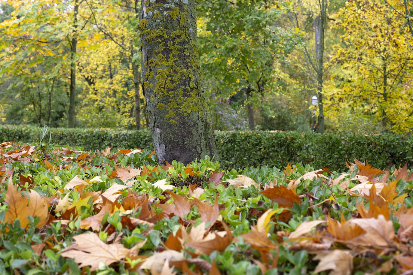 La predicción de las cabañuelas sobre el tiempo para este otoño y este invierno