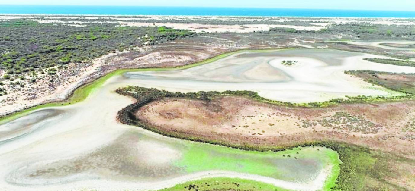 La situación hídrica de Doñana se agrava con el secado de sus aguas en superficie