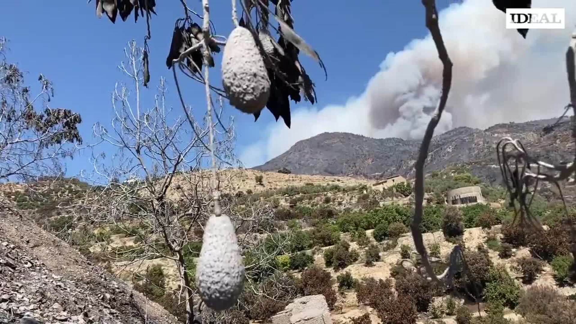 El incendio de Los Guájares calcina más de 2.800 hectáreas de terreno forestal