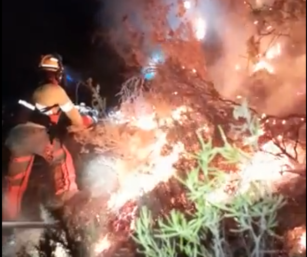 «La Sierra es mi casa, no lloro más porque no me quedan lágrimas»