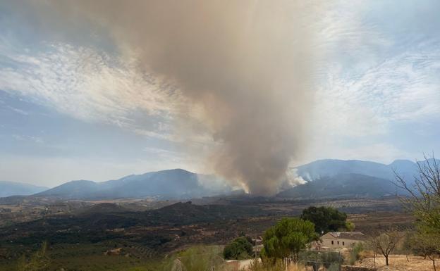 Bomberos de Granada y Motril acuden en apoyo para proteger zonas de cultivo