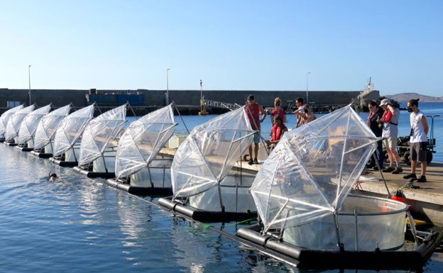 La Junta elabora su primera estrategia para el impulso de la economía azul