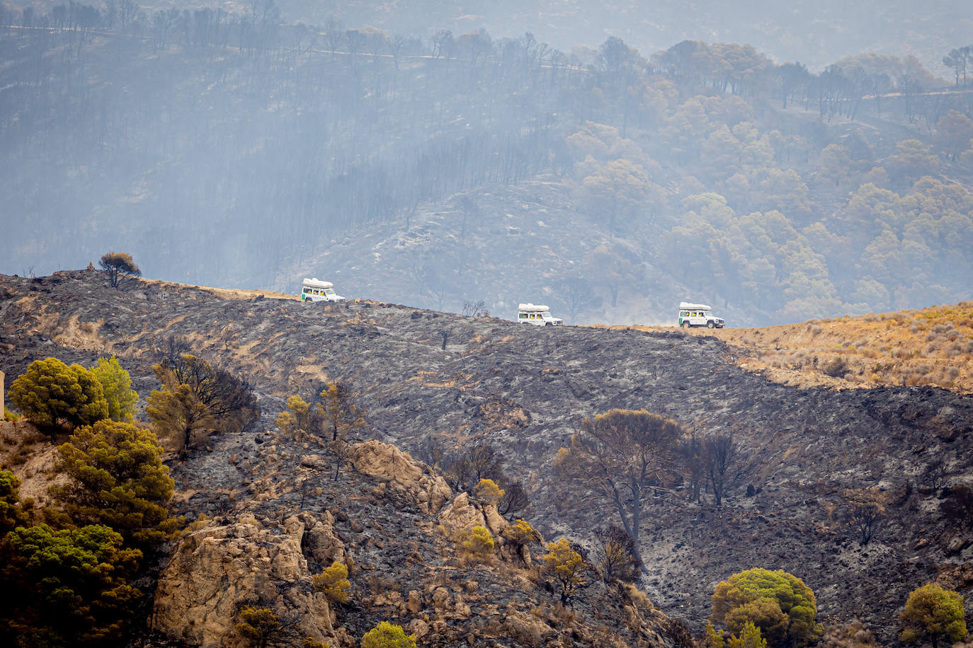 El Infoca estabiliza el fuego de Los Guájares y da un respiro al Valle