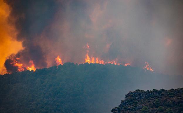 España registra 100 incendios más y el doble de hectáreas quemadas que en su peor año