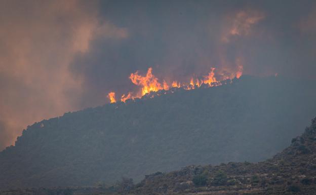 ¿Qué se ha quemado en el incendio de Los Guájares? Toda la vegetación calcinada por el fuego