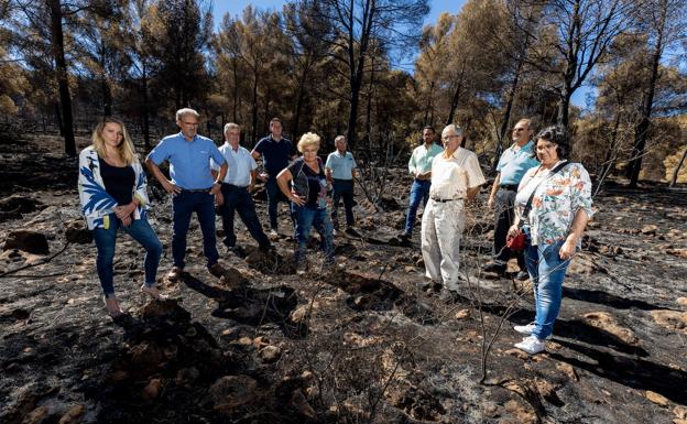 Más de una década para ser el mismo monte y pocas semanas para los brotes verdes