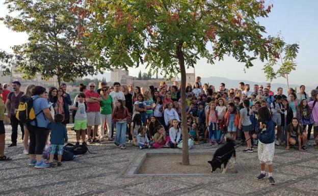 Protesta en el colegio Gómez Moreno del Albaicín por el peligro de derrumbes en los techos de cuatro de sus aulas