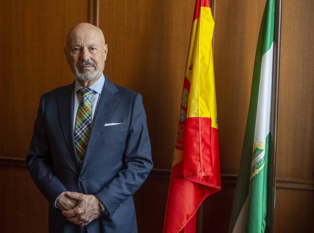 «Los patinetes representan un grave problema de seguridad vial»