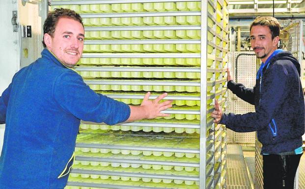 Las ferias de Úbeda y Jaén tendrán el suministro de hielo garantizado