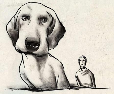 ¿Demasiadas mascotas?