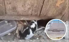 Asociaciones animalistas fuerzan a retirar unos carteles en los que prohibían alimentar a colonias de gatos en Albolote